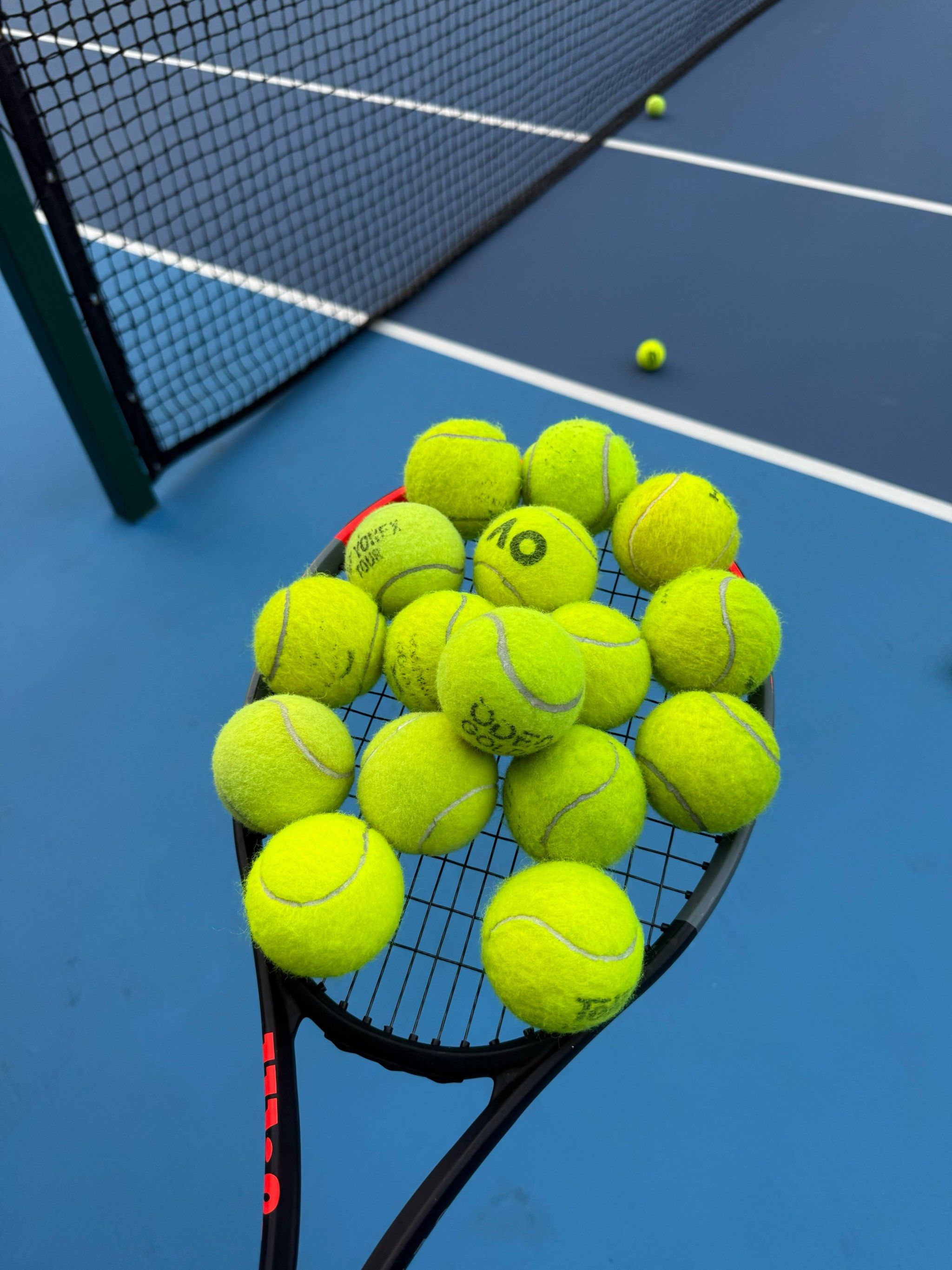 模板往往具 模板往往具